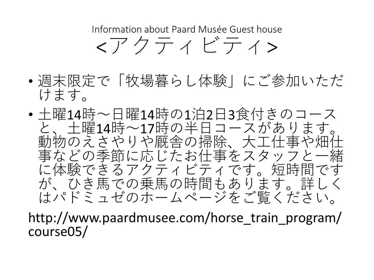 Paard Musee Guest House Nanae Exterior photo